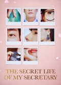 Watch The Secret Life of My Secretary online