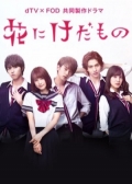Watch Hana ni Keda Mono online